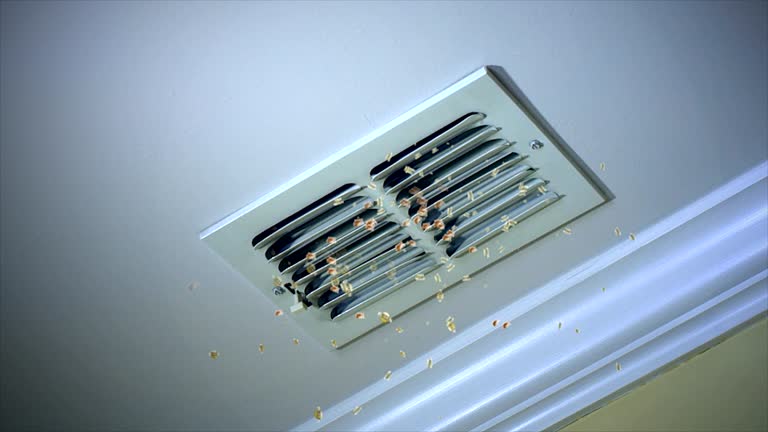 Best Ventilation Cleaning Services  in Brunswick, NC