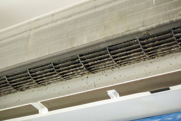 Best Affordable HVAC Duct Cleaning  in Brunswick, NC