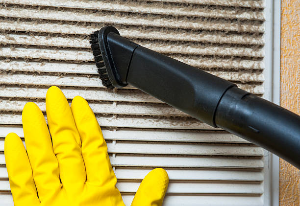 Best Air Duct Sanitizing Services  in Brunswick, NC